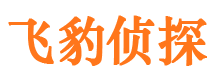 武鸣侦探公司